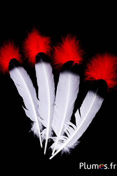 Oie - Plume indienne - 30-35 cm - pointe noire-rouge